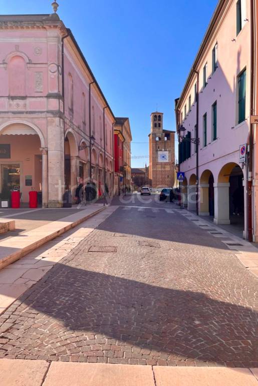 negozio in affitto a Piove di Sacco