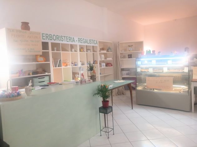 negozio in affitto a Ponte San Nicolò