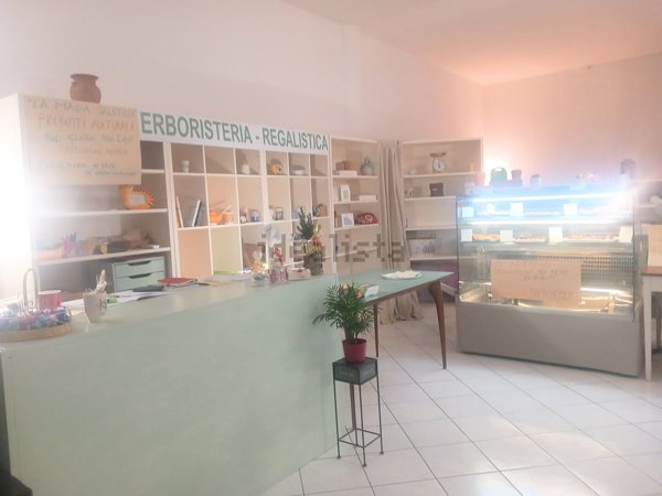 negozio in affitto a Ponte San Nicolò