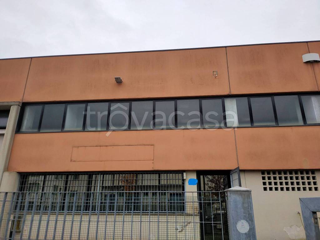 appartamento in affitto a Rubano
