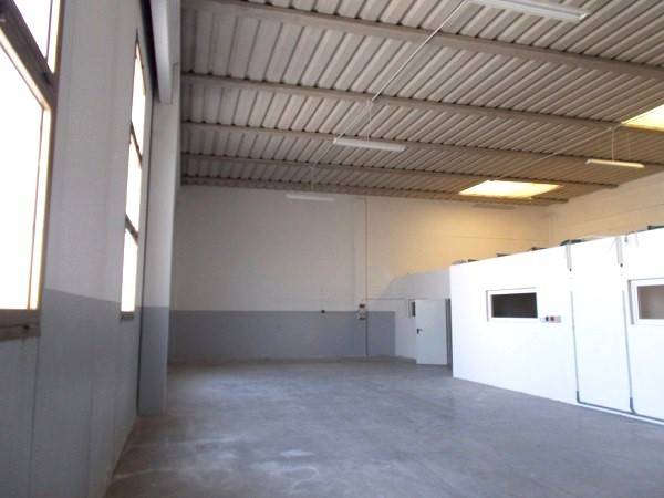 appartamento in affitto a Rubano in zona Sarmeola
