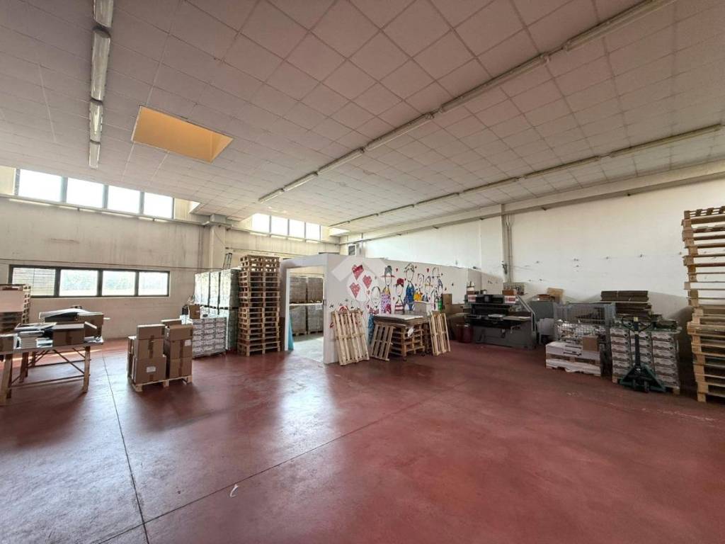 locale commerciale in affitto a Rubano