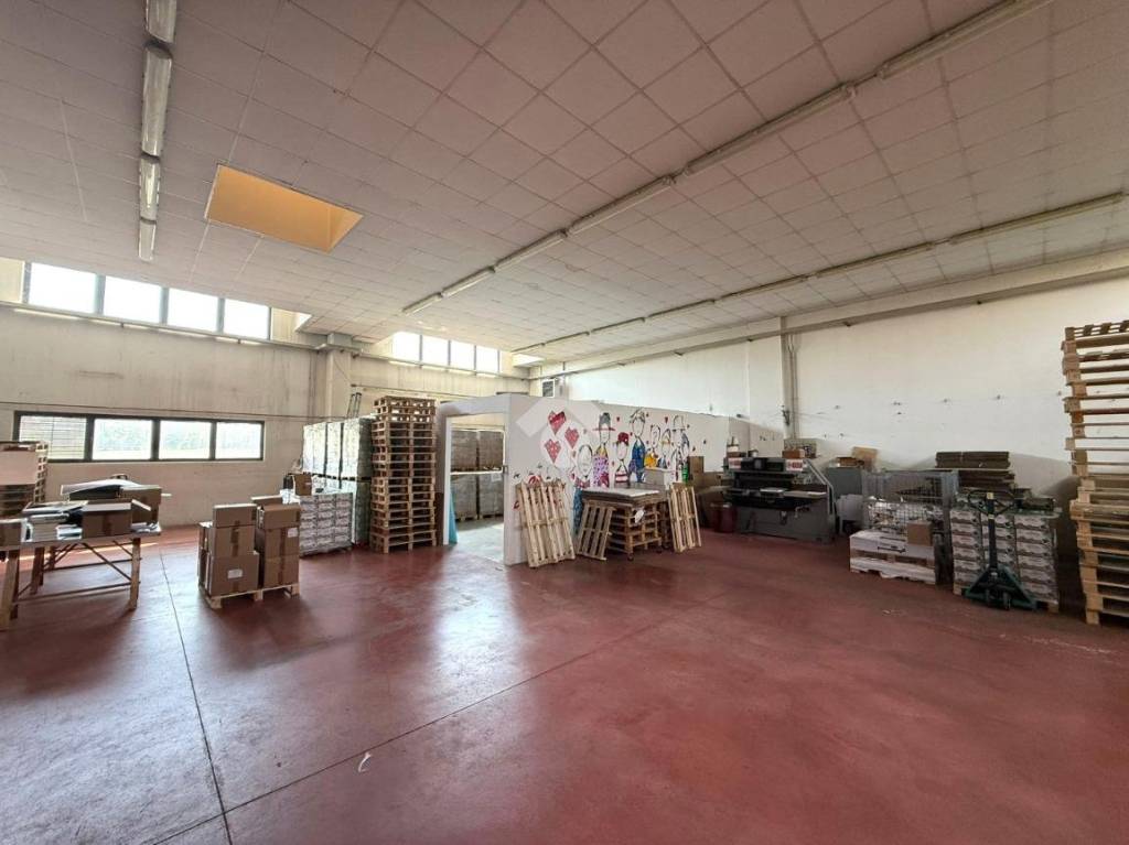locale commerciale in affitto a Rubano