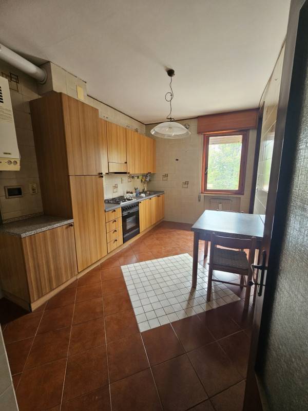 appartamento in affitto a Rubano
