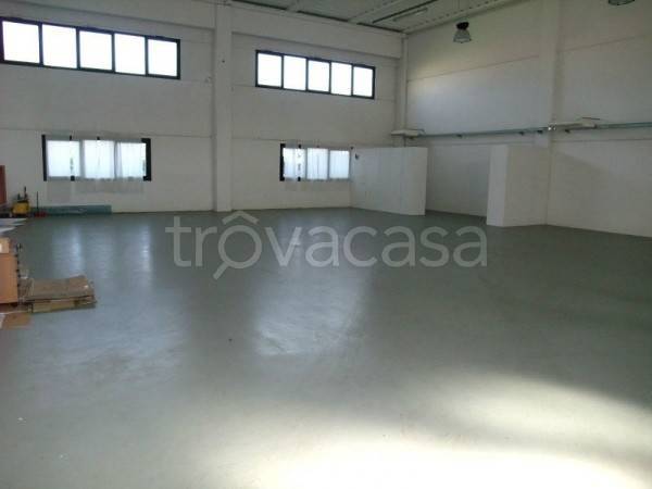 appartamento in affitto a Rubano