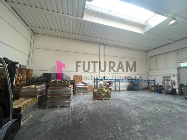 casa semindipendente in affitto a Rubano