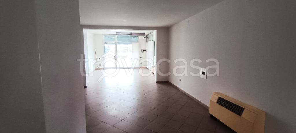 negozio in affitto a San Giorgio delle Pertiche in zona Arsego