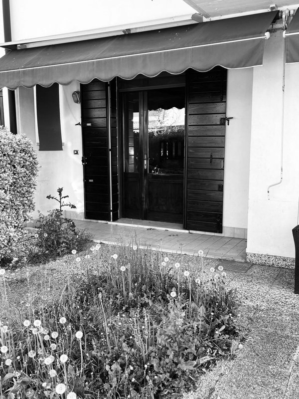 appartamento in affitto a San Giorgio delle Pertiche