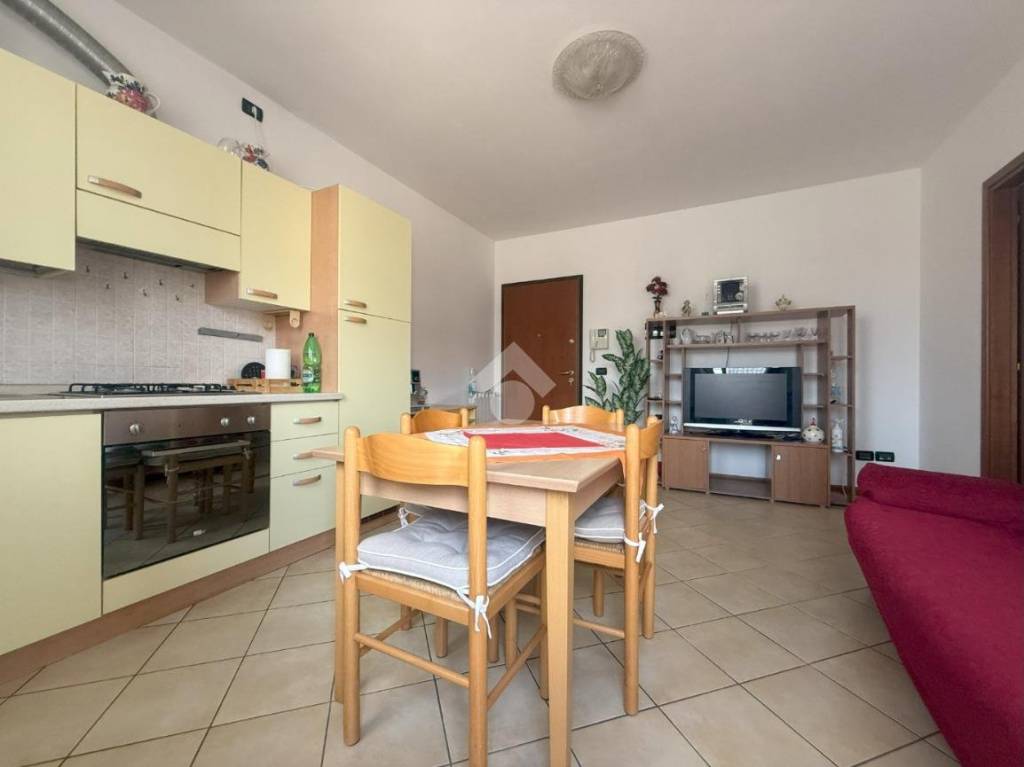 appartamento in affitto a San Martino di Lupari