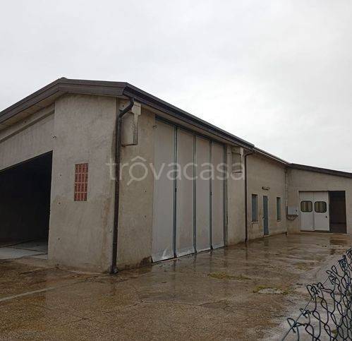 locale commerciale in affitto a Santa Giustina in Colle in zona Fratte