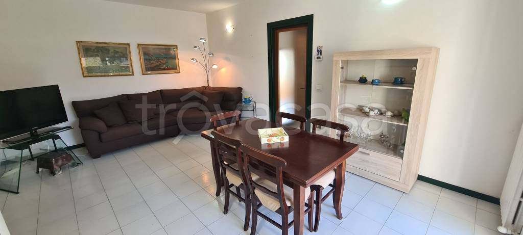 appartamento in affitto a Saonara