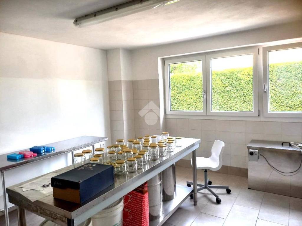 appartamento in affitto a Selvazzano Dentro in zona Feriole