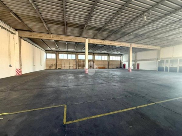 locale commerciale in affitto a Selvazzano Dentro in zona Caselle