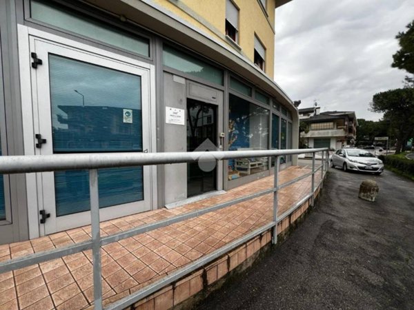 appartamento in affitto a Selvazzano Dentro