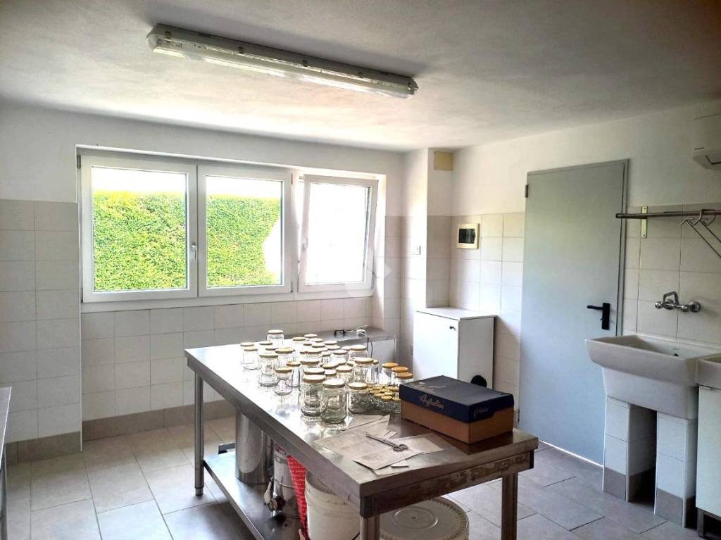 appartamento in affitto a Teolo