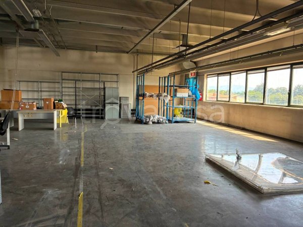 locale commerciale in affitto a Tombolo