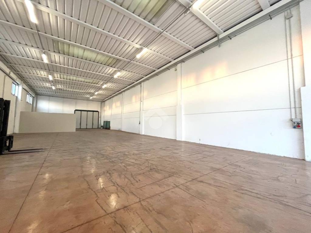 appartamento in affitto a Tombolo