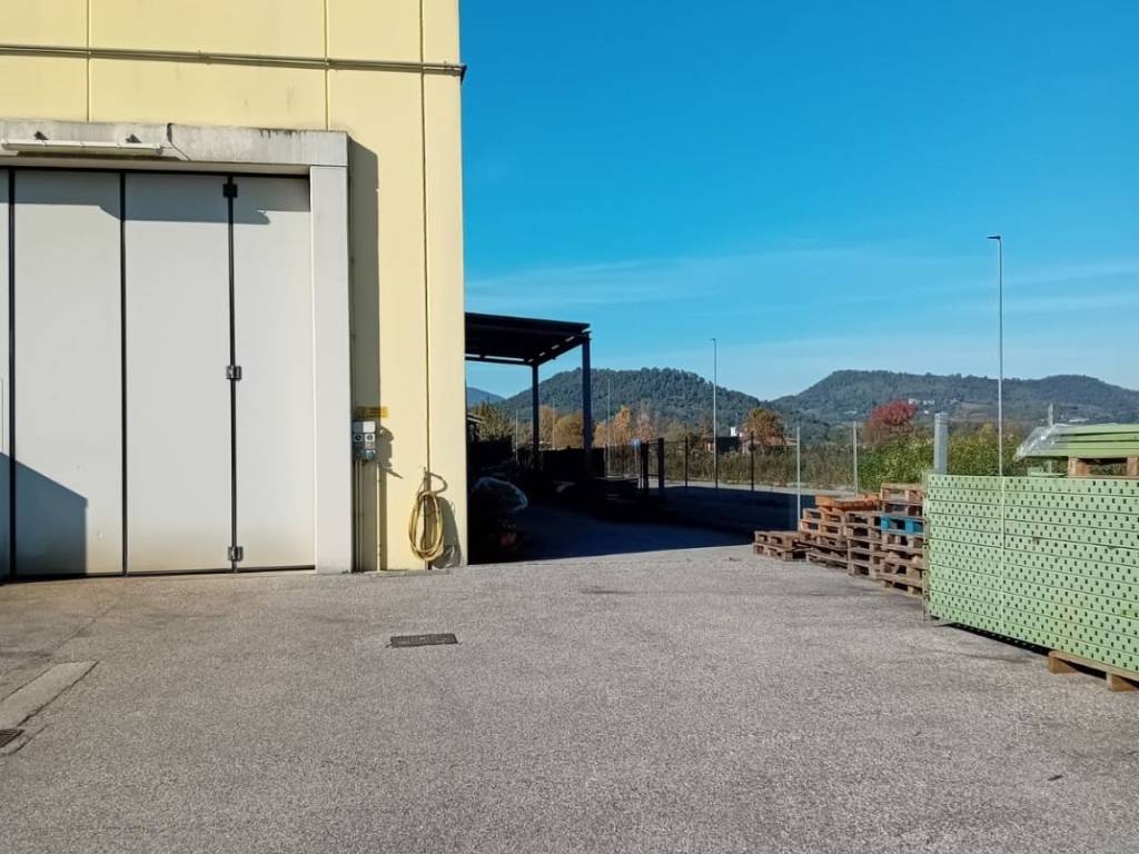 locale commerciale in affitto a Torreglia