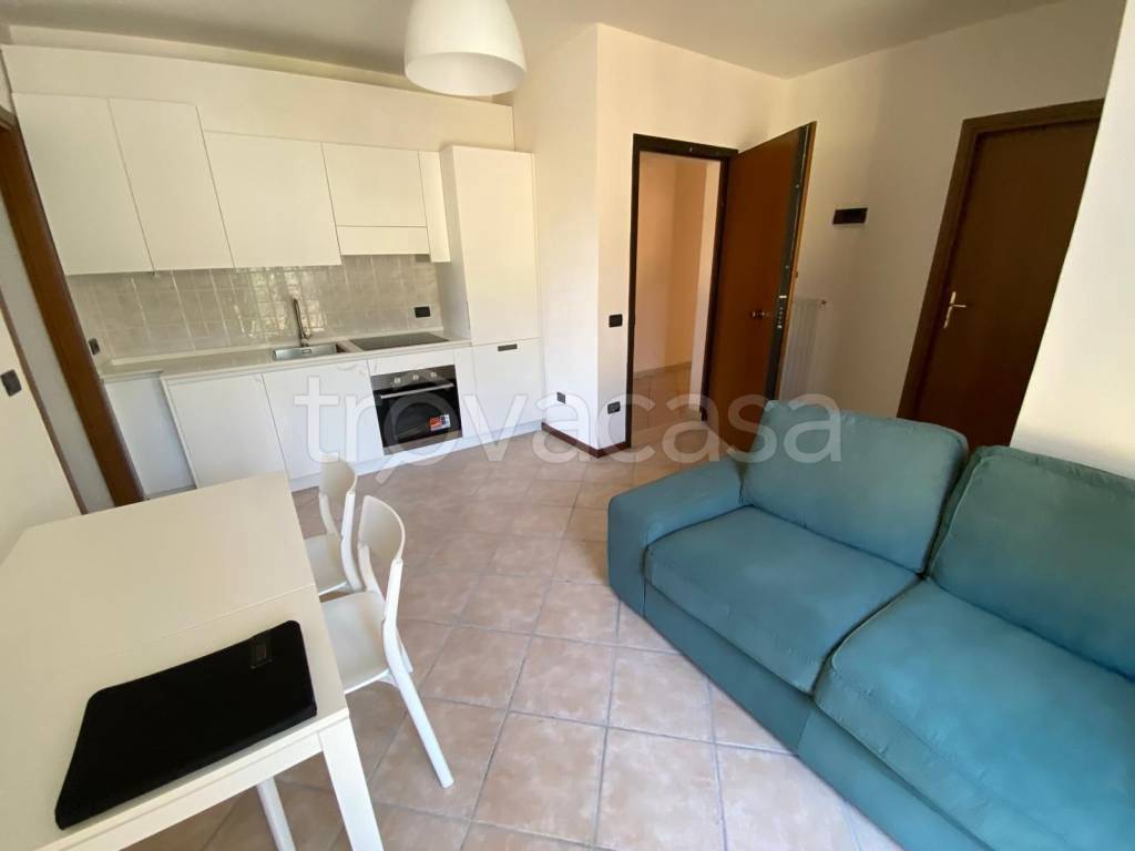 appartamento in affitto a Torreglia in zona Luvigliano