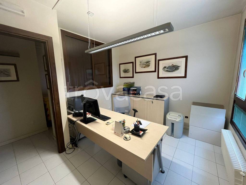 appartamento in affitto a Trebaseleghe