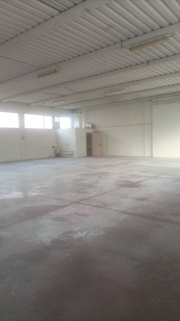 capannone in affitto a Trebaseleghe in zona Silvelle