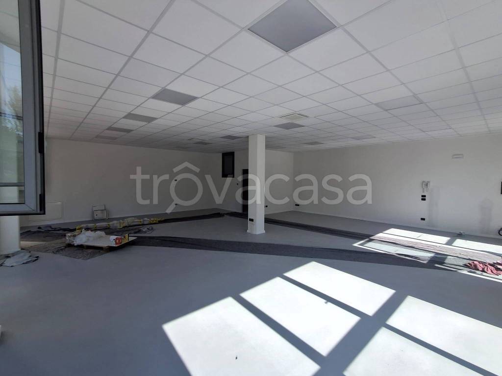 appartamento in affitto a Trebaseleghe