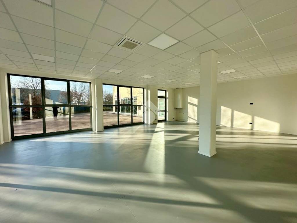 appartamento in affitto a Trebaseleghe