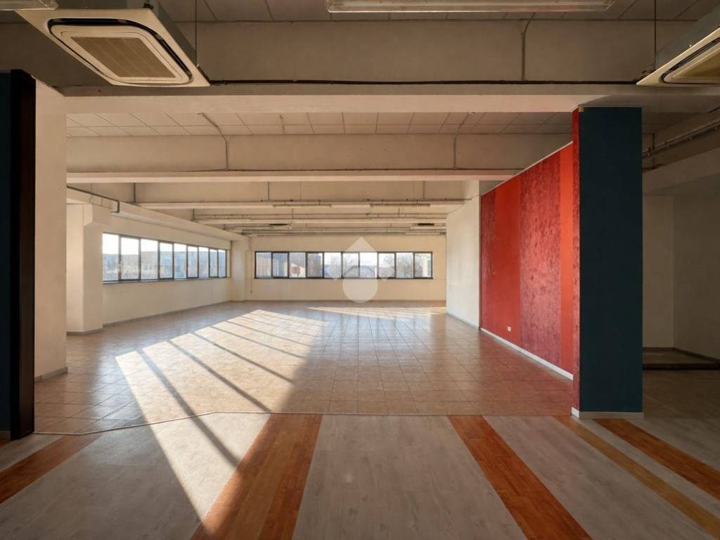 locale commerciale in affitto a Trebaseleghe