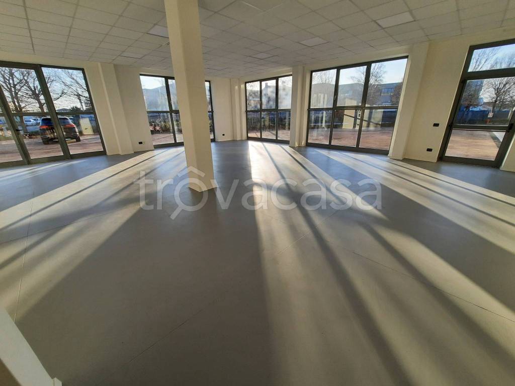 locale commerciale in affitto a Trebaseleghe