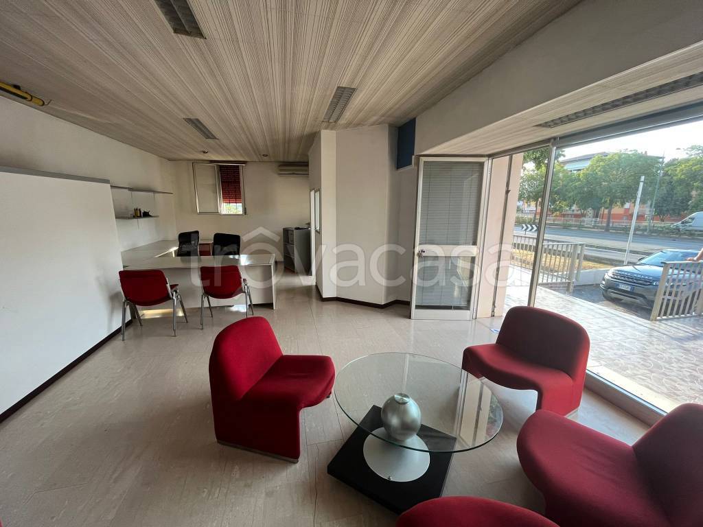 negozio in affitto a Trebaseleghe