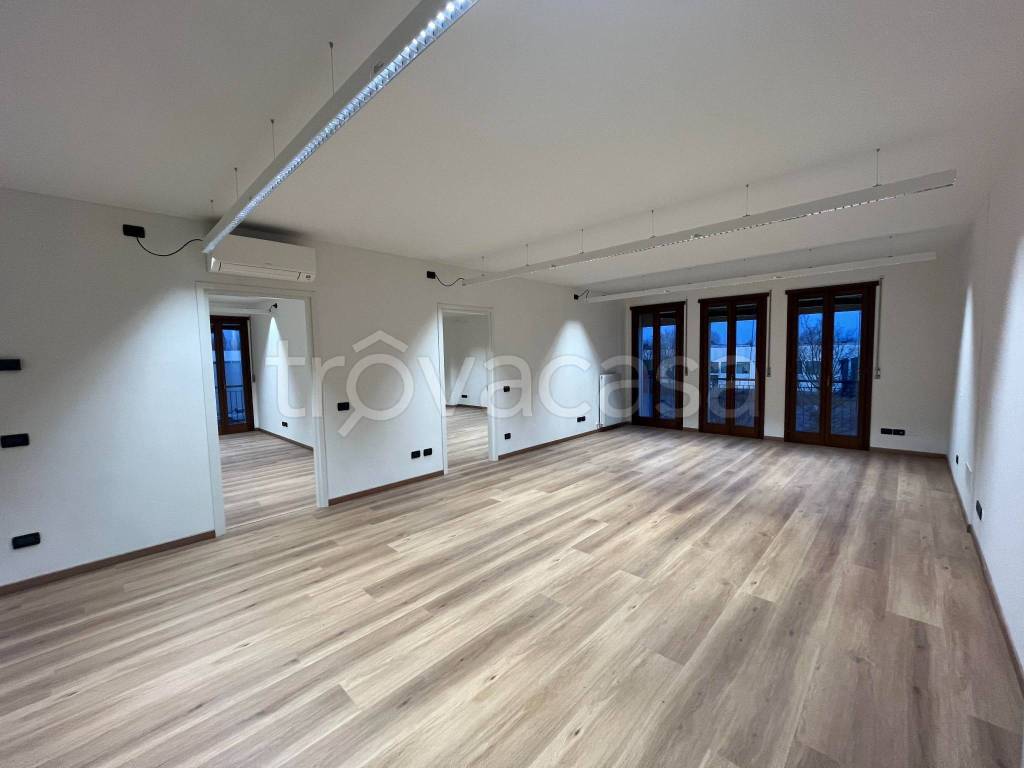 appartamento in affitto a Trebaseleghe