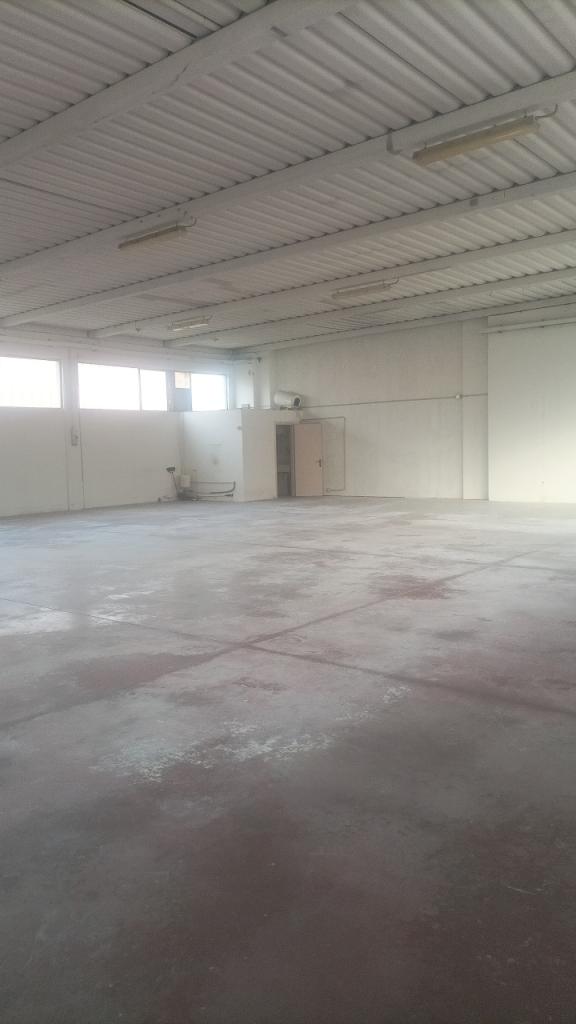 appartamento in affitto a Trebaseleghe