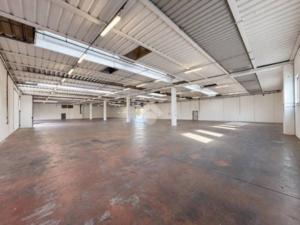 locale commerciale in affitto a Trebaseleghe