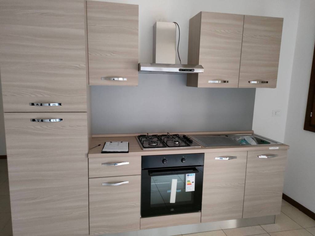 appartamento in affitto a Tribano