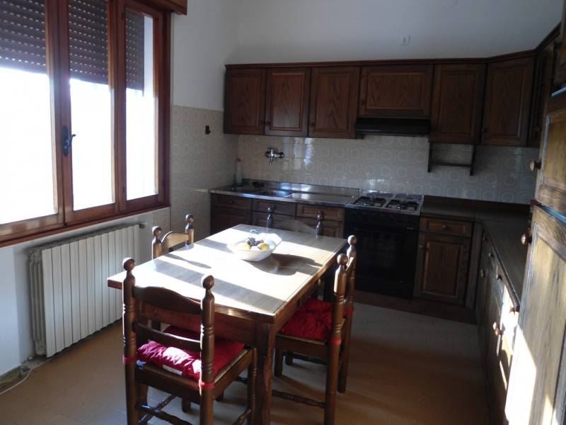 casa indipendente in affitto a Vigodarzere