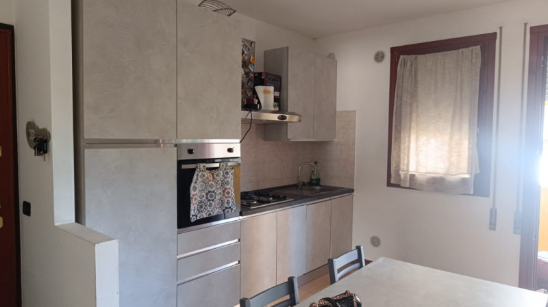 appartamento in affitto a Vigodarzere