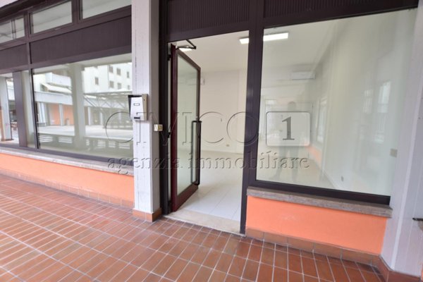 appartamento in affitto a Vigodarzere