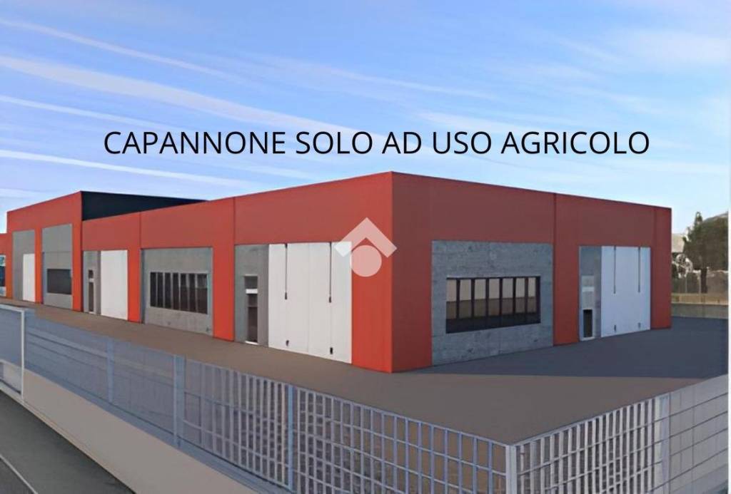 locale commerciale in affitto a Vigodarzere