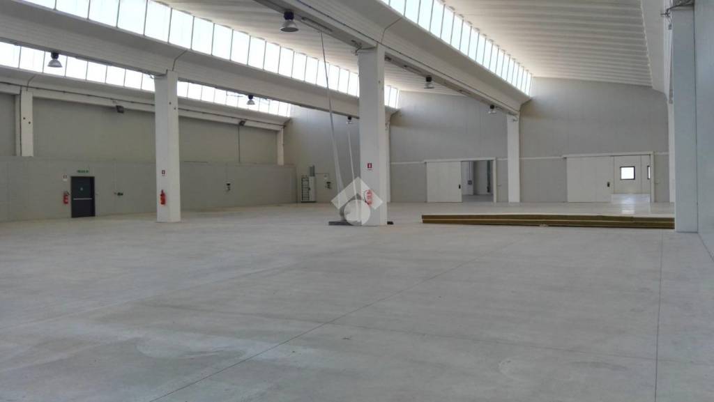 locale commerciale in affitto a Vigodarzere