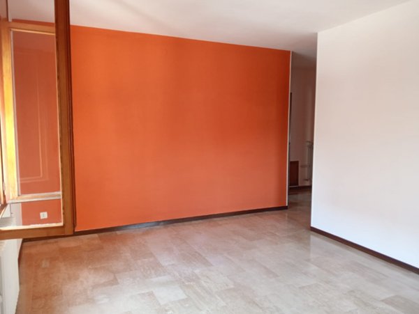 appartamento in affitto a Vigodarzere