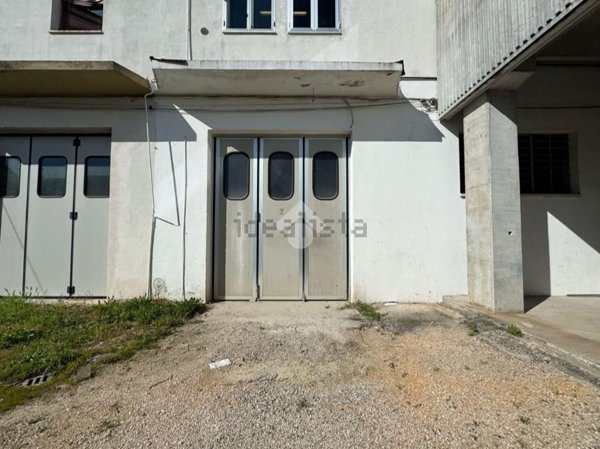 casa semindipendente in affitto a Vigonza