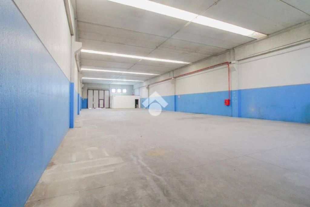 locale commerciale in affitto a Vigonza