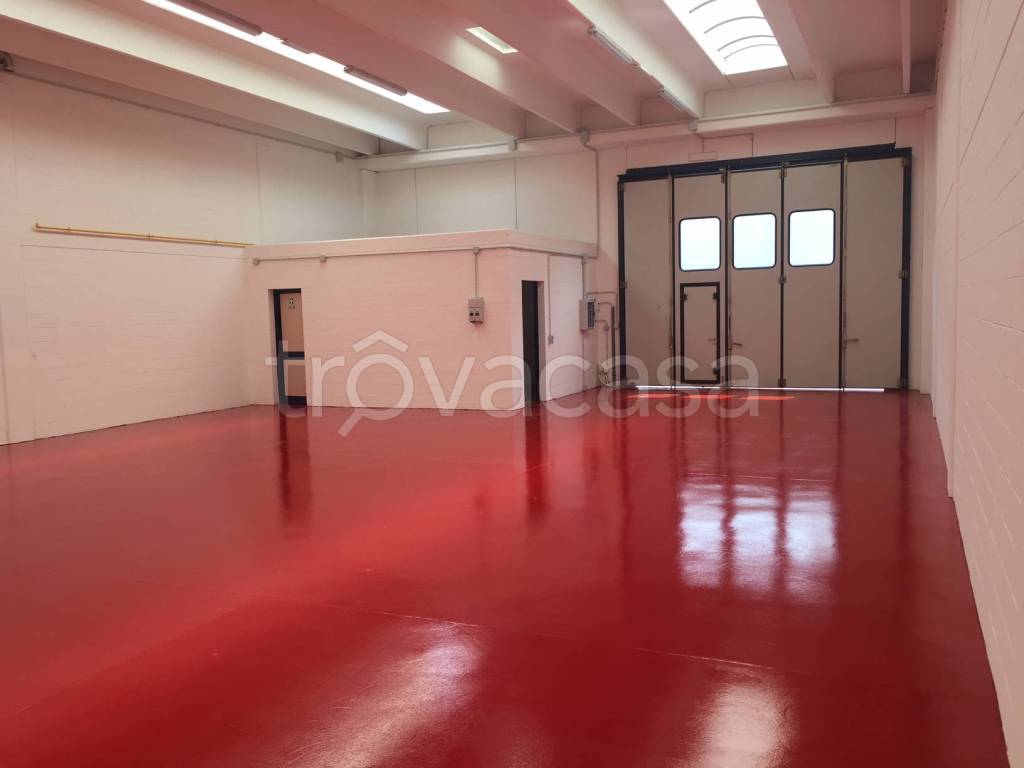 appartamento in affitto a Vigonza