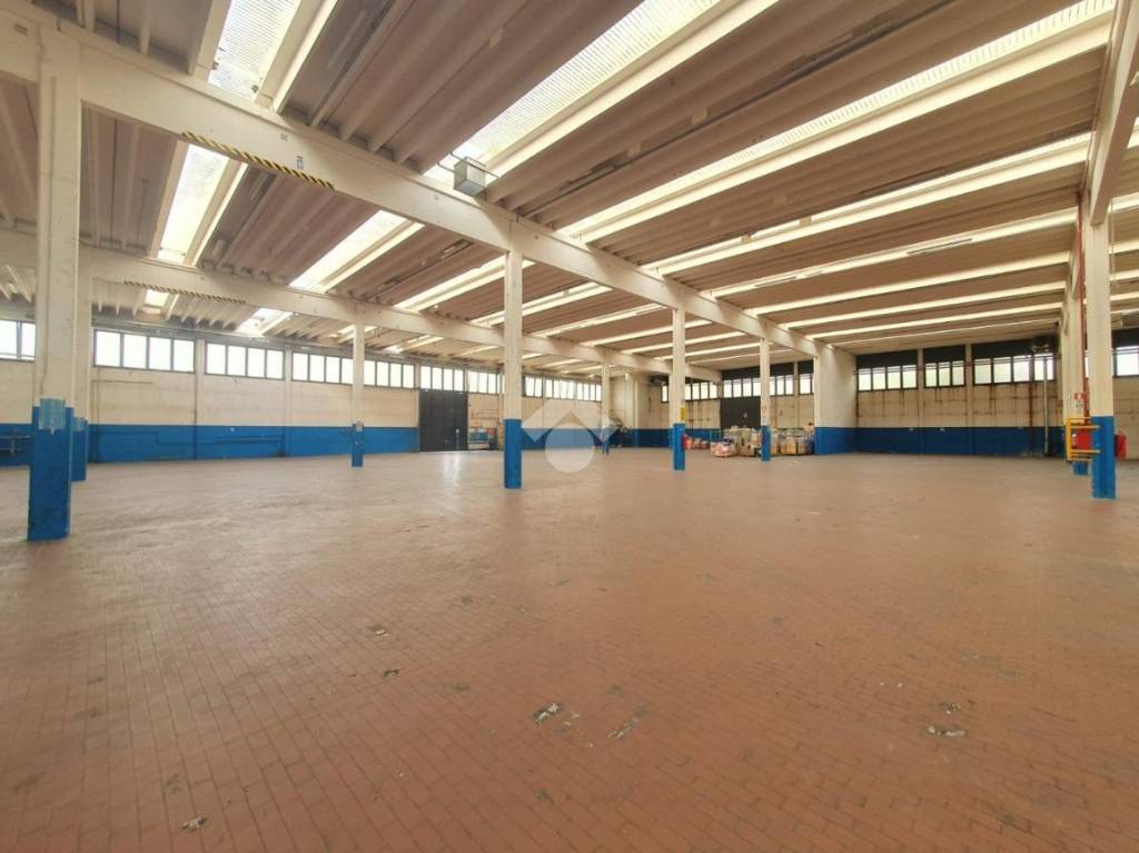 locale commerciale in affitto a Vigonza