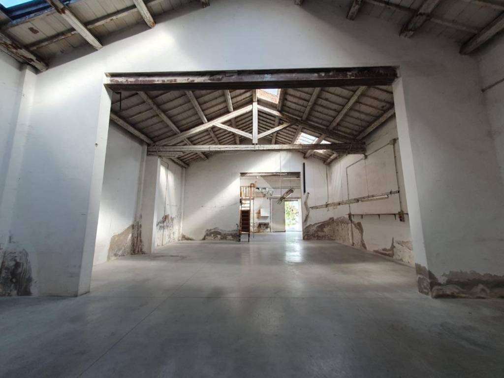 locale commerciale in affitto a Vigonza in zona Peraga