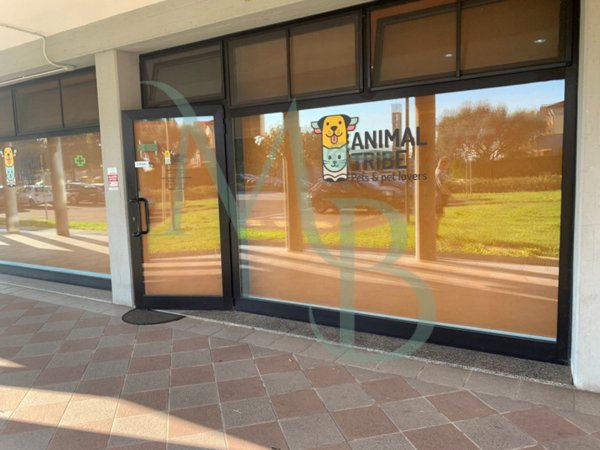 negozio in affitto a Vigonza in zona Perarolo