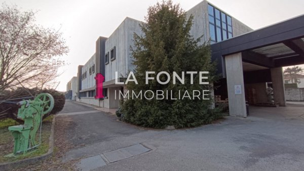 locale commerciale in affitto a Vigonza