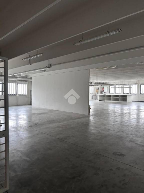 appartamento in affitto a Vigonza