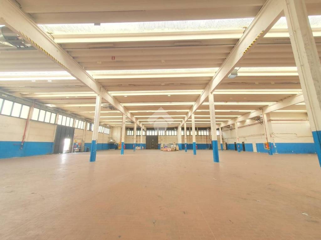 locale commerciale in affitto a Vigonza