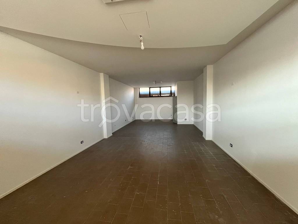 negozio in affitto a Vigonza in zona Codiverno